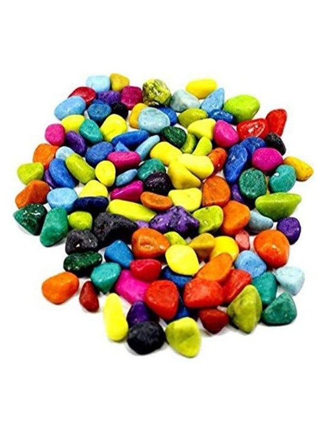 Afast Multicolor Pabbles/Stone for Garden, Plants, Aquarium & Home Decor, Marvels, Decoration, Fish Aquarium, Vase Filler, 0.5 KG -AE1 - Image 2